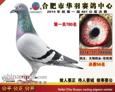 ����鿴��ͼ