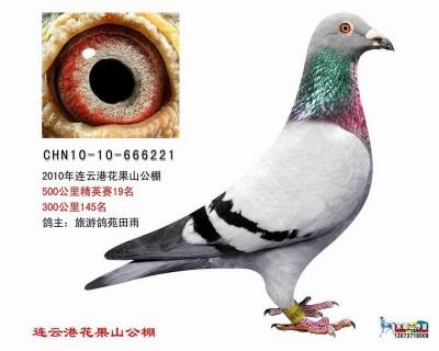 ����鿴��ͼ