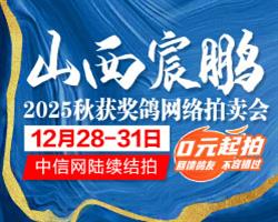 ɽ�����������ֳ���� 2025��������񽱸봿������������