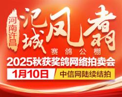 ����������Ƿ������빫��2025��������񽱸봿������������