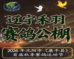 �����������빫��2026���׽��＾�³�