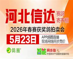 �Ŵ������--5��23�ո�Ȧ������ֱ�����棡